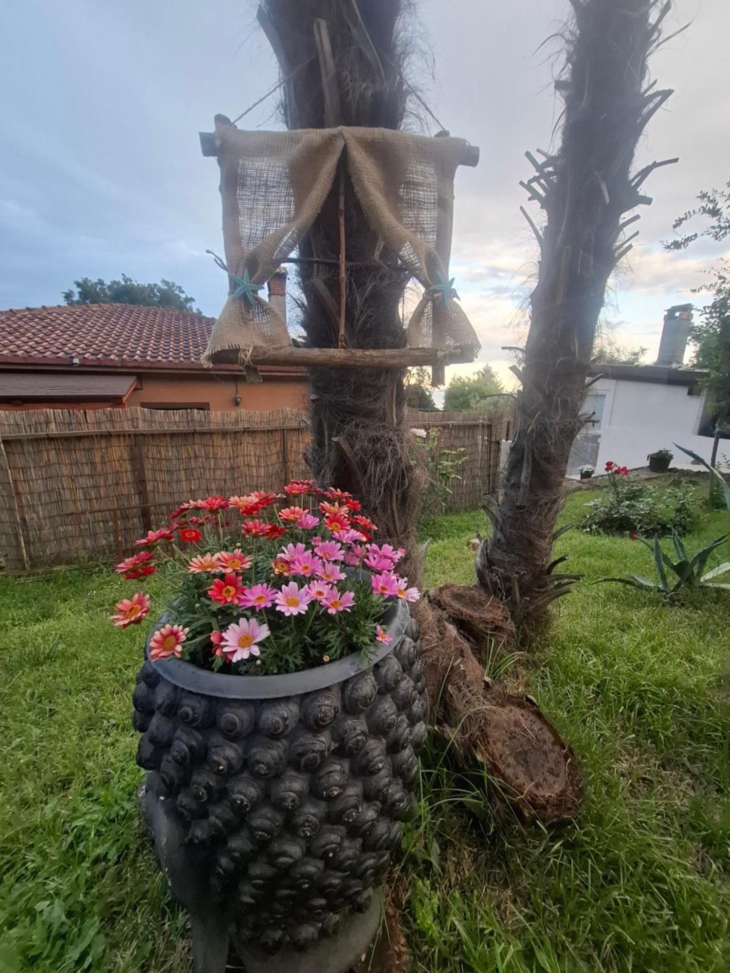 Apartman Envi Opatija Bagian luar foto