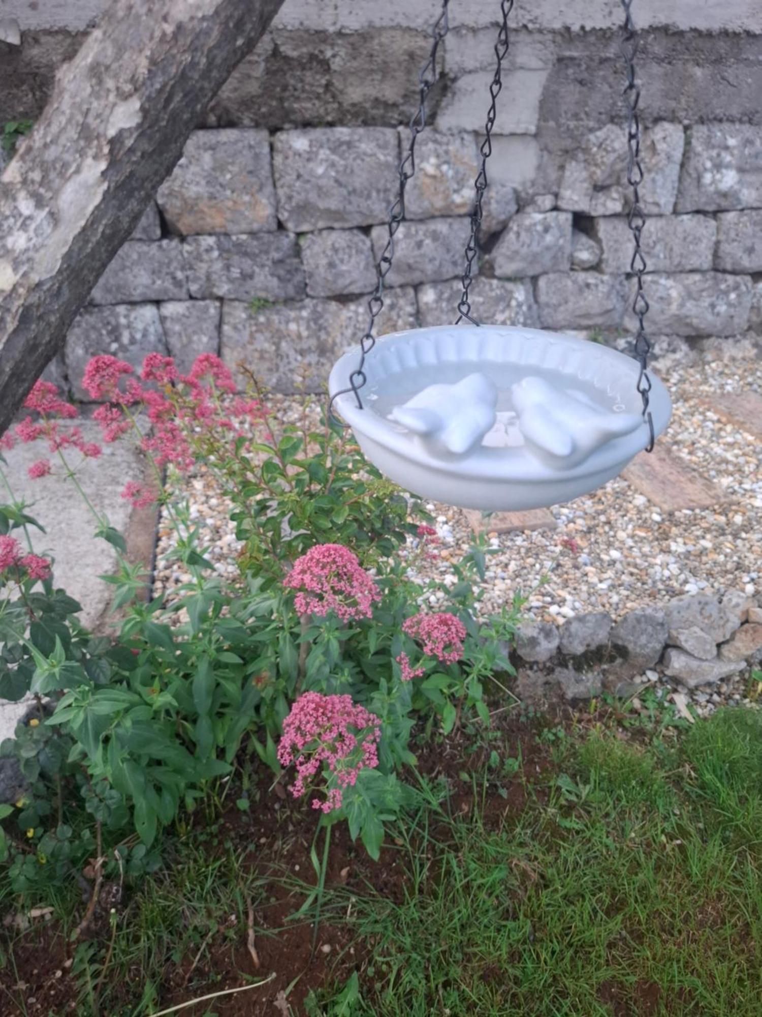 Apartman Envi Opatija Bagian luar foto